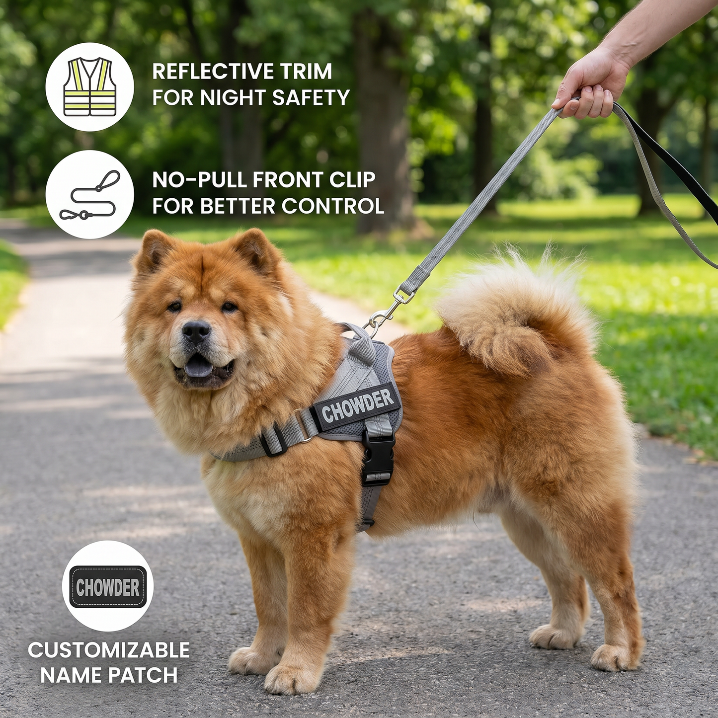Personalized Reflective No-Pull Dog Harness with Custom Name Patch