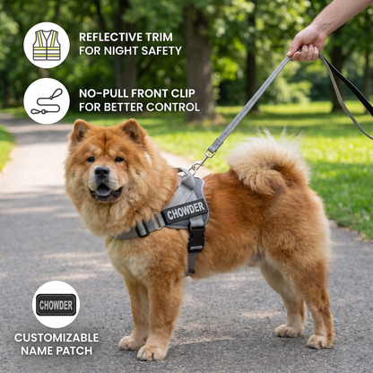 Personalized Reflective No-Pull Dog Harness with Custom Name Patch