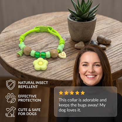 Cute Collar with Insect Repellent for Dogs