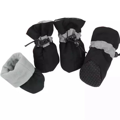 Winter Paw Protection – Paw Walks