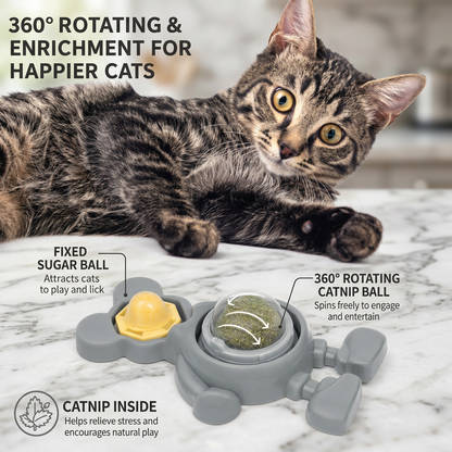Catnip Ball Chew Toy