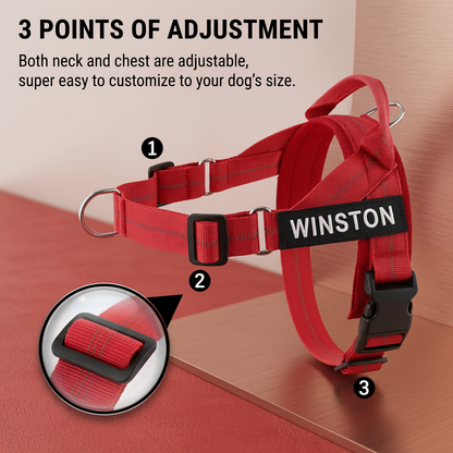 Personalized Reflective No-Pull Dog Harness with Custom Name Patch