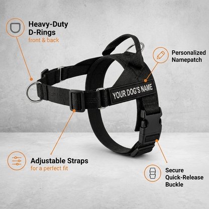 Personalized Reflective No-Pull Dog Harness with Custom Name Patch