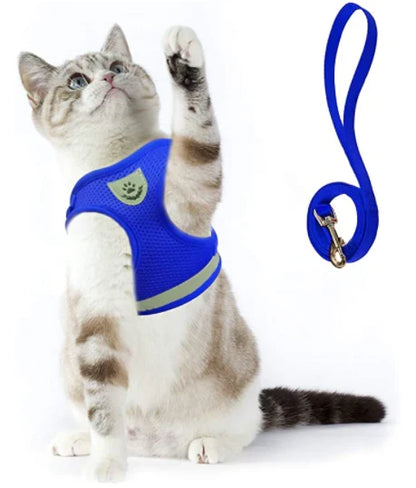 Explorer Harness with Leash