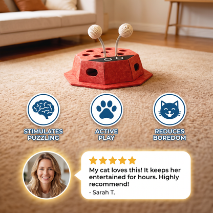 3in1 Interactive Ladybug Cat Puzzle Toy