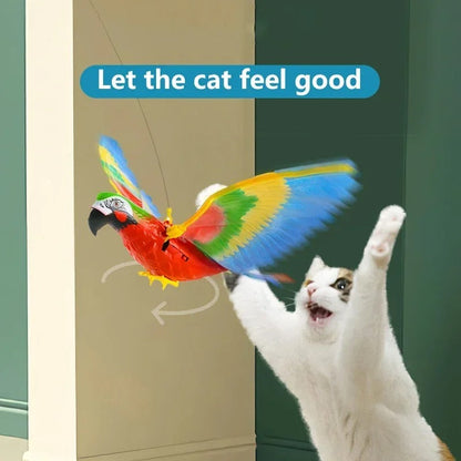 Eagle Flying Bird Cat Toy