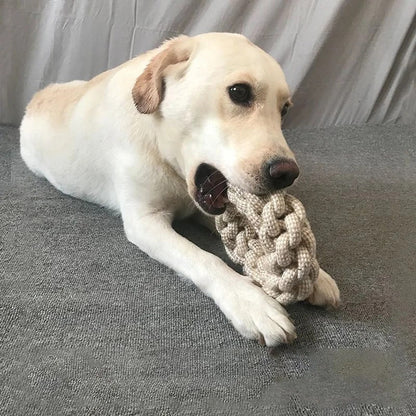 Dog Knot Toy – Fun and Effective Teeth Cleaner