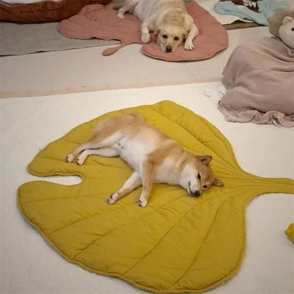 Chill Paw Mat