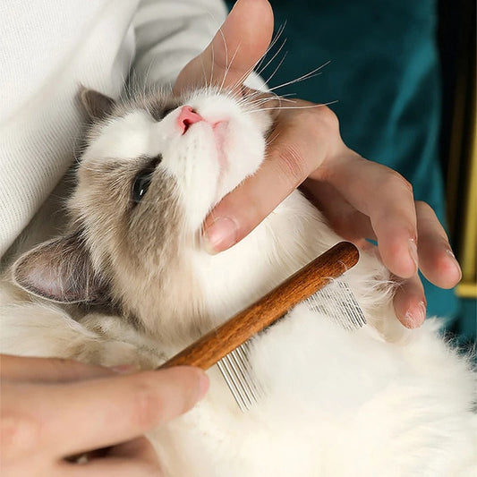 Premium Cat Comb: Stainless Steel Grooming for a Healthy Coat