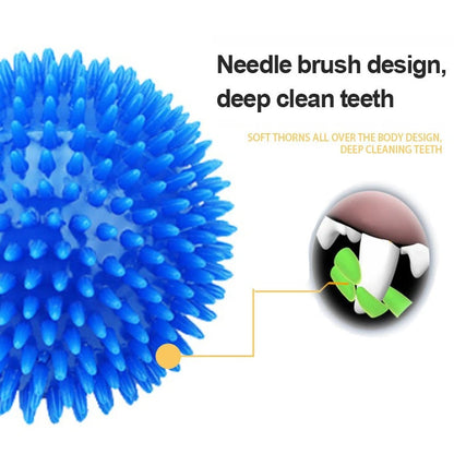 Chewing Toy Spike Balls Accessories