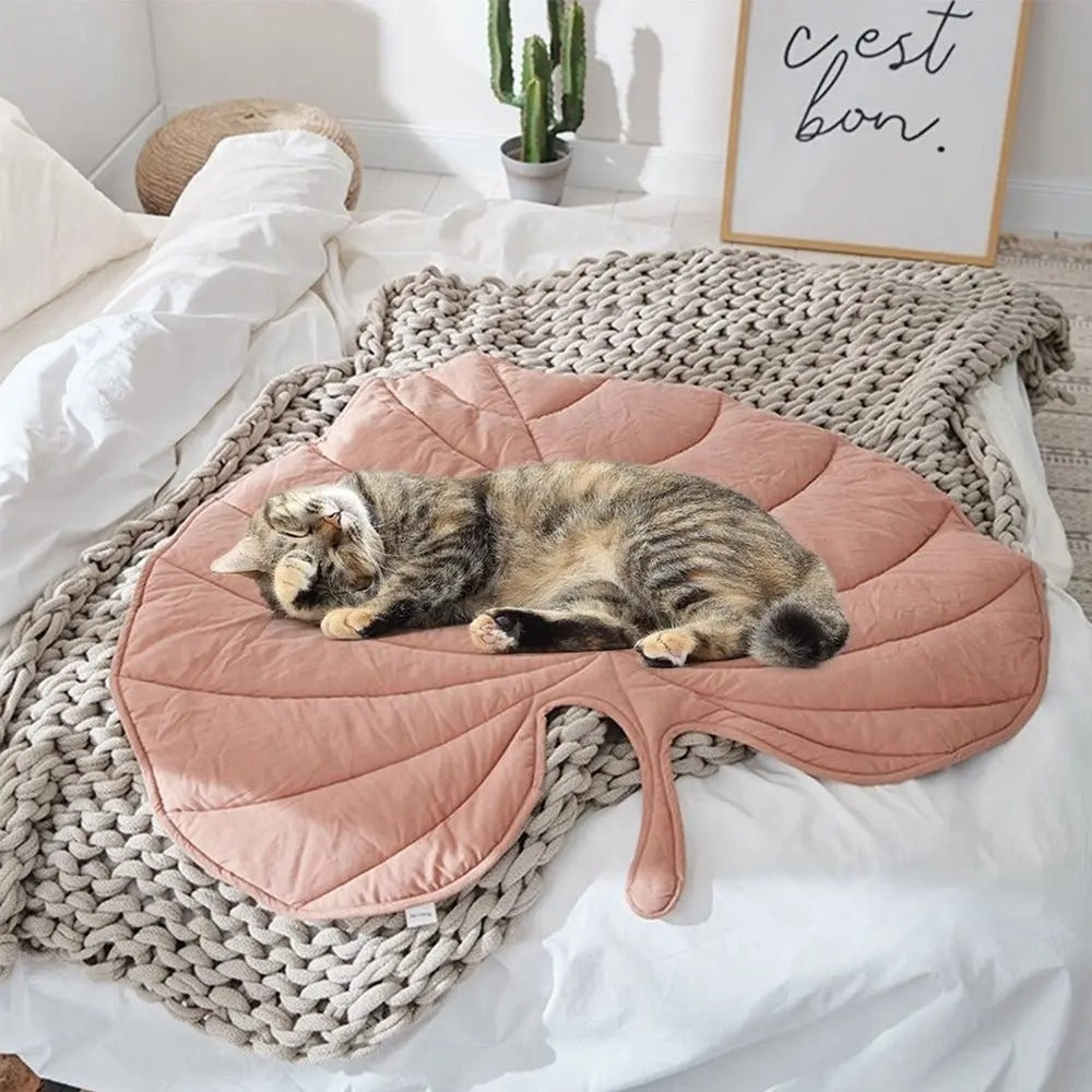 Chill Paw Mat