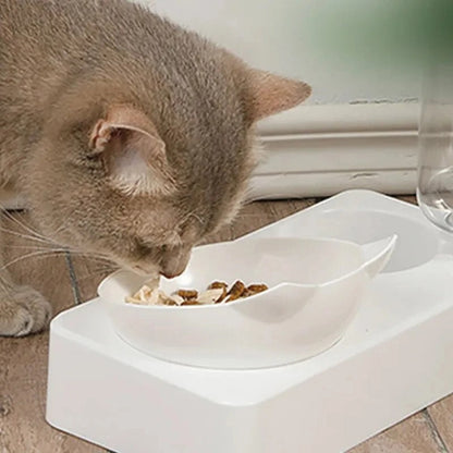 Dual-Purpose Tilted Pet Bowl