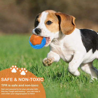 Rubber Dog Toys – Durable, Fun, and Safe for Your Dog