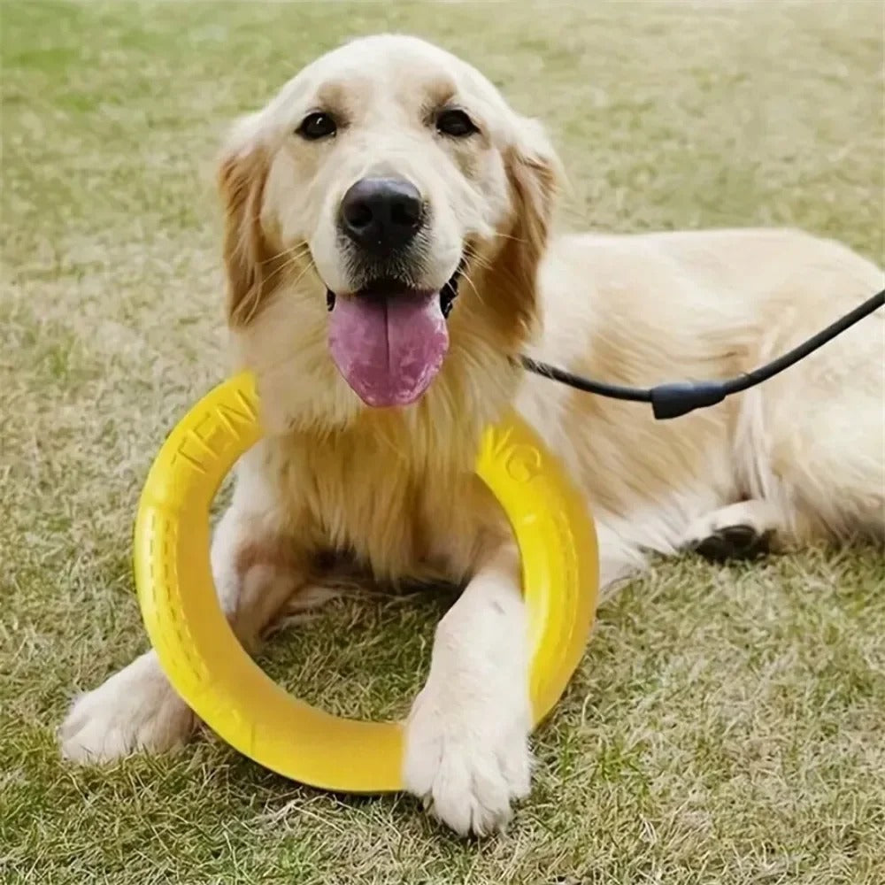 Flying Disc Training Ring Puller