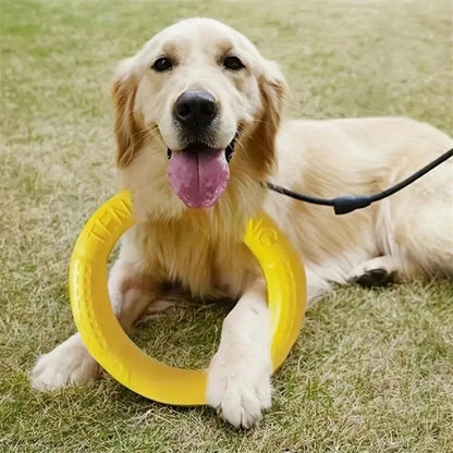 Flying Disc Training Ring Puller