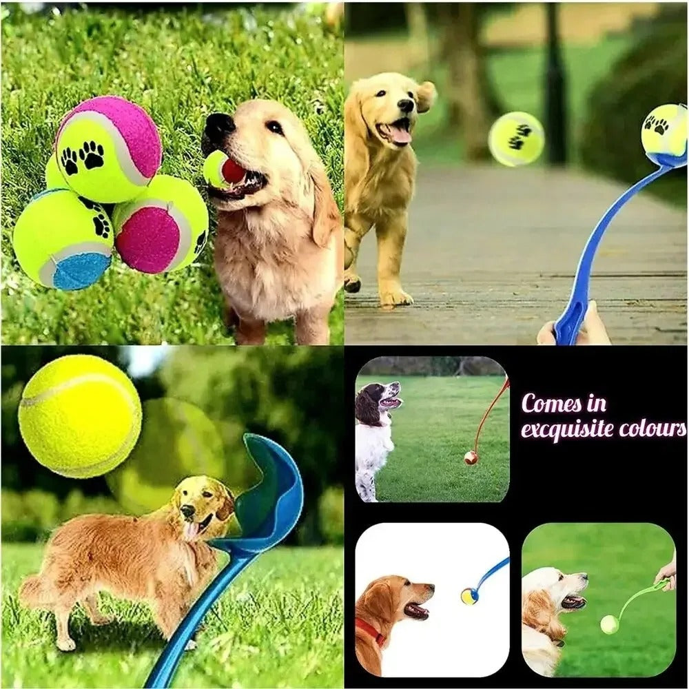FetchStick – The Ultimate Throwing Stick for Dogs!