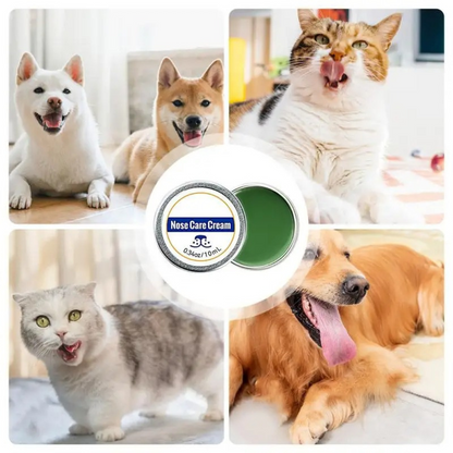 Care and protection cream for dog snouts