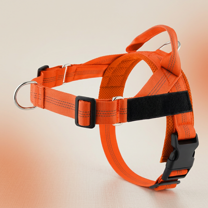 Personalized Reflective No-Pull Dog Harness with Custom Name Patch