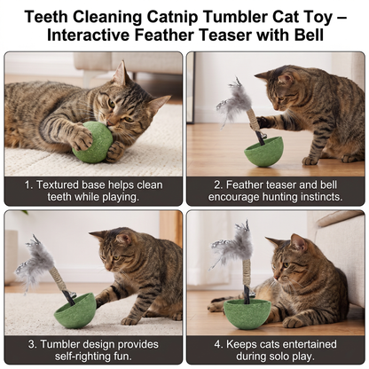 Teeth Cleaning Catnip Tumbler Cat Toy – Interactive Feather Teaser with Bell