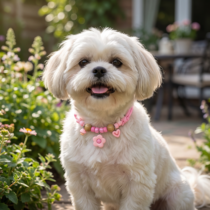 Cute Collar with Insect Repellent for Dogs