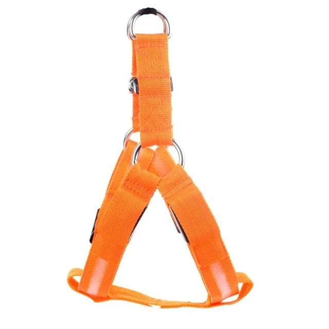 GlowSafe LED Dog Harness