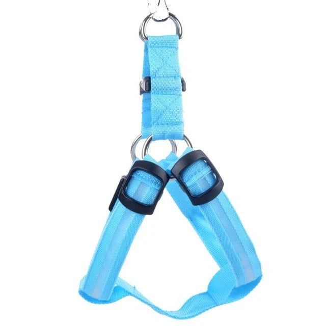 GlowSafe LED Dog Harness