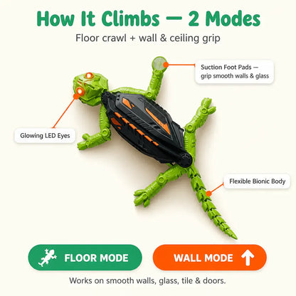 The RC Gecko That Actually Climbs Walls & Ceilings