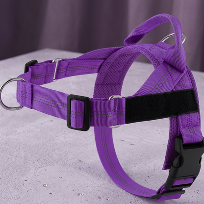 Personalized Reflective No-Pull Dog Harness with Custom Name Patch
