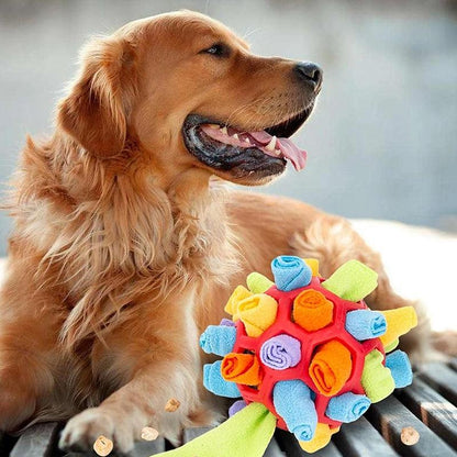 PlayPaw Interactive Pet Toy