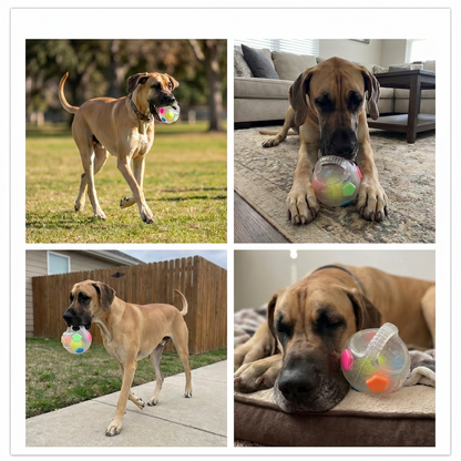 Durable toy ball for stress relief for dogs