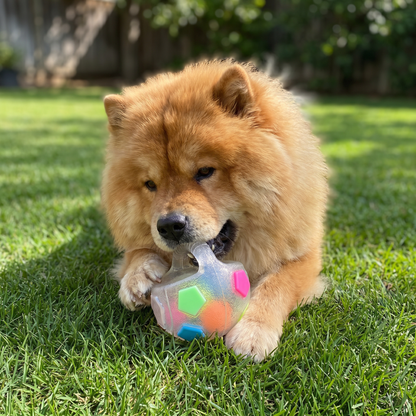 Durable toy ball for stress relief for dogs