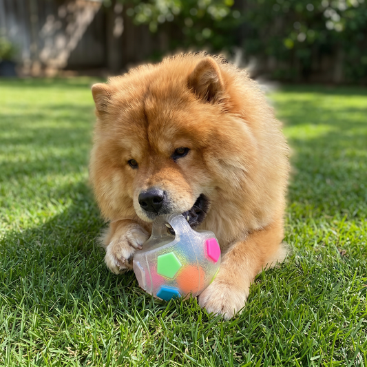 Durable toy ball for stress relief for dogs
