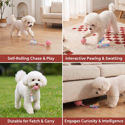 Upgraded Smart Rolling Dog Ball – Durable Interactive Toy with Mesh Tail
