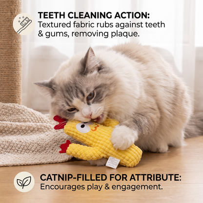 Catnip-Filled Cactus Teeth Cleaning Cat Toy