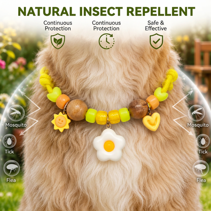 Cute Collar with Insect Repellent for Dogs